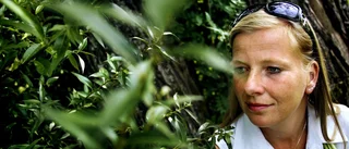 Frisk fläkt tar farväl