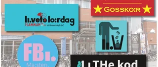 Därför tävlar studenter om en egen logga till li.u