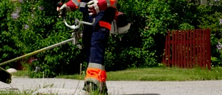 Sommarjobb till alla som lever på bidrag