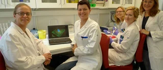 Protein kan bromsa alzheimer