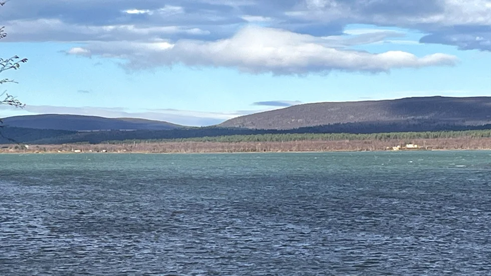 Det gröna vattnet i Kaalasjärvi är en unik syn. Sediment från glaciärer har påverkat vattnets färg.