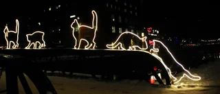 Katterna vandaliserade – har fått plockas ner