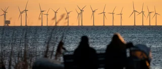 ”Vindkraften är ingen universallösning”