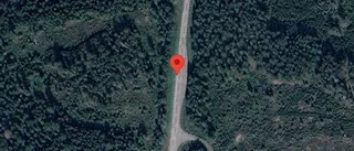 Stopp på väg 290 på grund av olycka med flera fordon