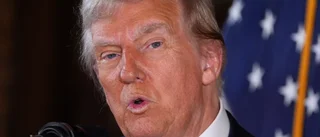 Trump och Musk stoppar kongressens budget