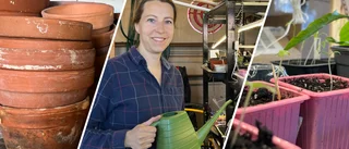 Erikas bästa tips – för att lyckas med förodling