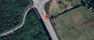Älg på fel sida viltstängslet på E4