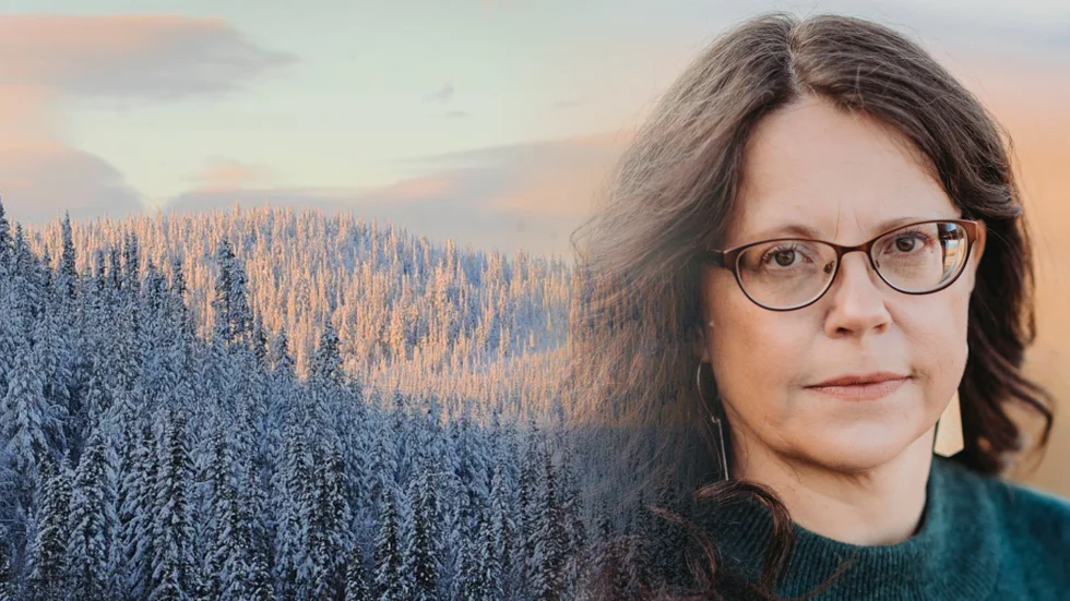 NSD:s krönikör Anna Kuru tänkte skriva om julfrid, men så kom det ett brev som fick henne att häpna. Istället blev det en text om alla de utländska bolag som nu har sina blickar riktade mot norra Sverige.