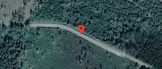 Varning för hästar på vägen på väg 584