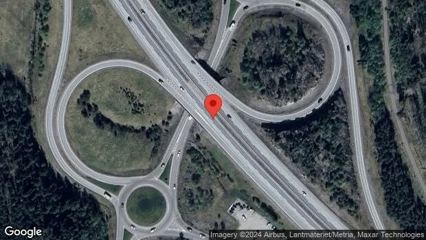 Vildsvin på vägen kan skapa fara på E20