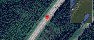 Renar på fel sida viltstängslet på E4
