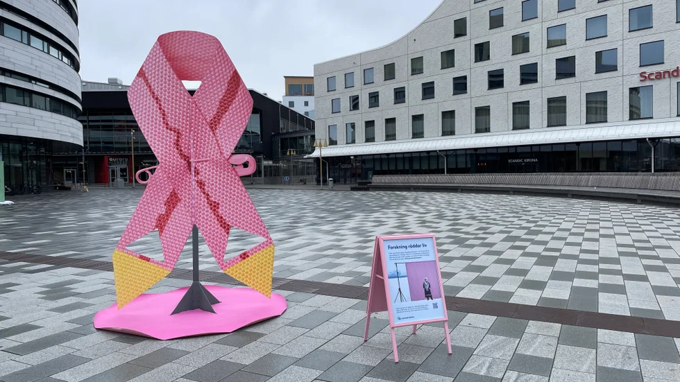 Cancerfondens rosa band 2024, designat av textilkonstnären Britta Marakatt-Labba, i stort format på stadshustorget i Kiruna.