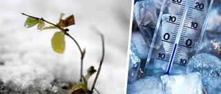 Bakslag för våren: Då kan snöflingorna falla