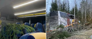 Träd trängde in i buss vid olycka utanför Finspång