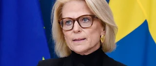 Regeringen kallar till sig matjättar