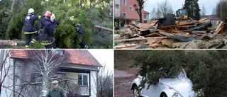 BILDEXTRA: Tak blåste ner • Träd överallt • Brandbil fastnade