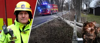 Fallande träd kan bli farliga – blåser ännu hårt