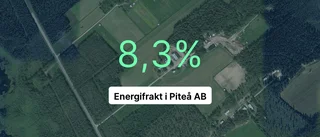 Så gick det för Energifrakt i Piteå AB i fjol