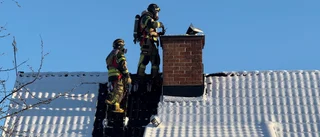 Fågelbo orsakade brand i villa
