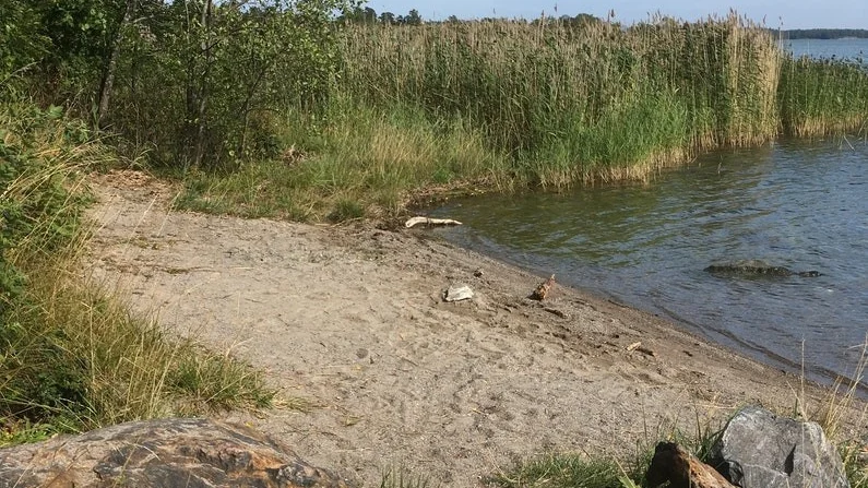 Den nya badplatsen vid Borgmästarholmen.