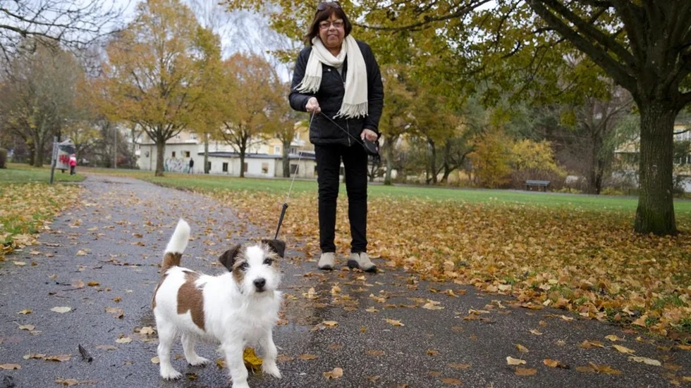 hundarthuleparken1.JPG