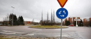 Rondellilskan: "Åk in med häcksaxen och klipp ner"