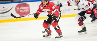 Linden förstärker – lånar spelare från Hockeyettan inför slutspurten