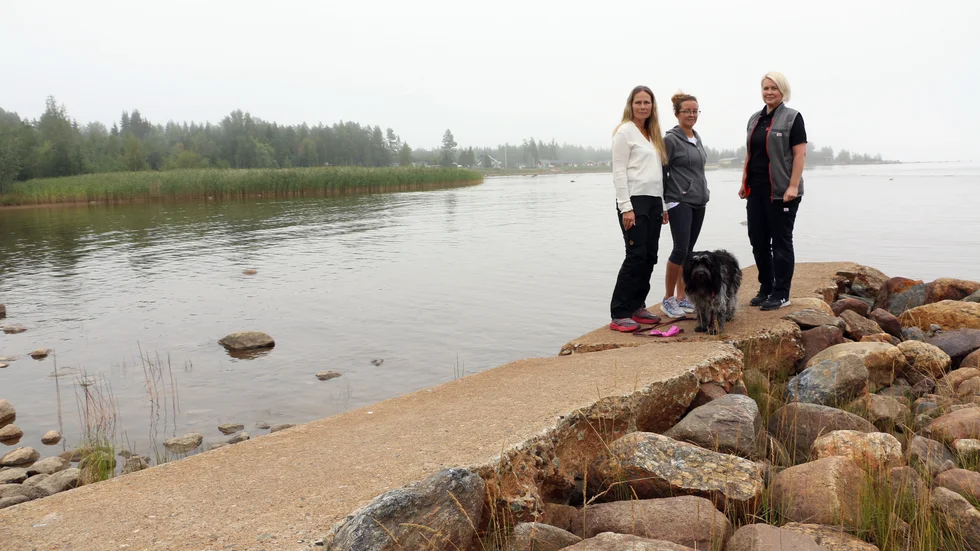 Lena Lindström Brunnström, Anneli Fursjö och Johanna Olsen är glada över att den slitna gamla piren nu ska rustas upp.