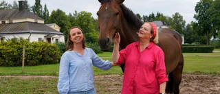 Mor och dotter föder upp framtidens tävlingshästar i Boxholm – "Brukar säga till fölungarna att de ska bli OS-vinnare"