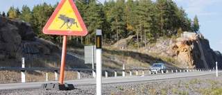 Snedvriden bild av djurens liv