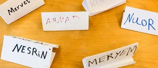 Ledare: Snabbspåren räcker inte