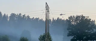 Teorin: Blixtnedslag för ett par dagar sedan kan ha orsakat svåra skogsbranden