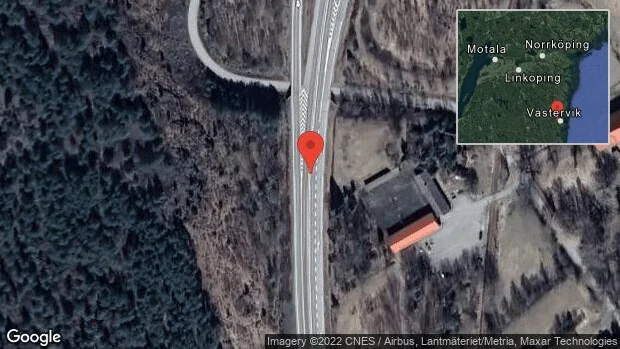Rådjur på vägen