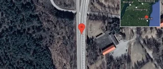 Rådjur på vägen