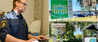 Mordet på Jessica och överfallsvåldtäkten på kyrkogården: Polisen om utredningsläget, dna-spår och släktforskning • ”Alltid en risk att gärningsmän hinner dö”