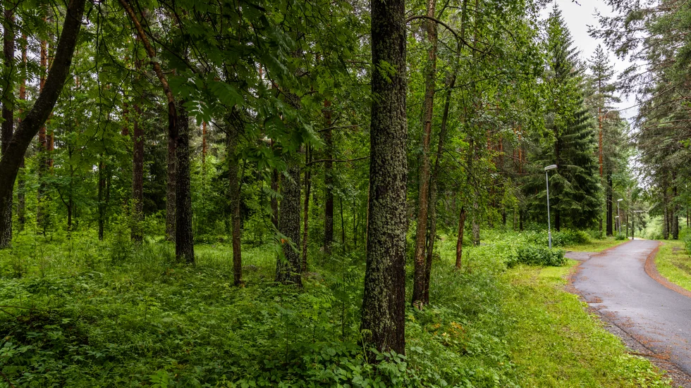 En cykelväg i närheten av Morö Backe skola.