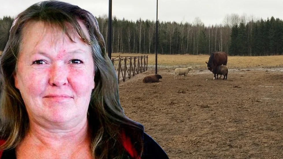 Marie Östermans häst Sid umgås gärna med andra djur.