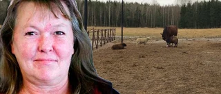 Hästen har fattat galoppen med att gilla olika
