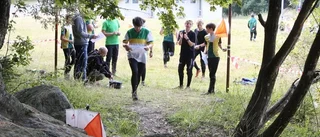 Unga mot gamla