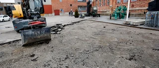 Förstlingen är snart på rätt spår