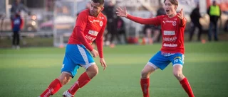 Bissarna vill hitta tillbaka till grunderna