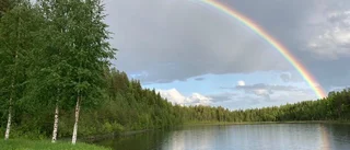 Läsarbilden: En kväll i Vändträsk
