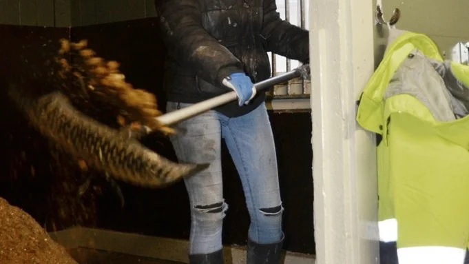 Lagnö stall är i gång efter sjukdomsepisoden. Nu kan mockande Marina Klinthammar köra ut kärror med hästskit i stället för rester av rivna boxar, väggar och infekterade redskap.