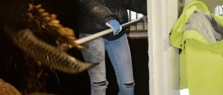 Lugnet efter kvarkastormen