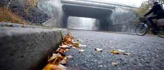 Förslag om biltrafik på Tryffelstråket fick tummen upp