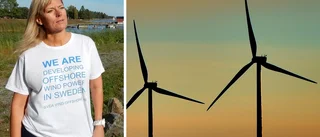 Bolaget: "Vindkraftspark innebär cirka 2 000 jobb"