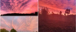 Rosa himmel och moln över Piteå        