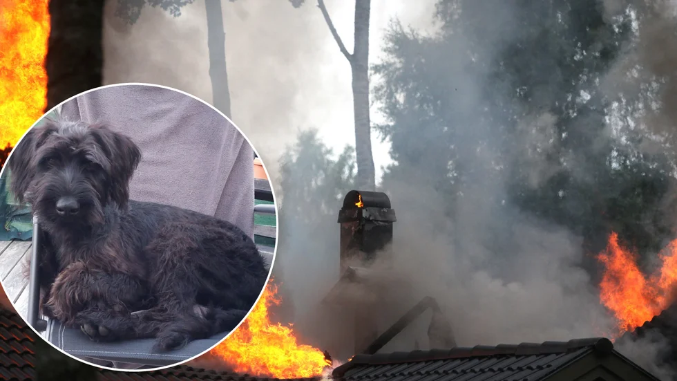 Hundvalpen Rocky, som bor vid Marietorp, skrämdes av åskan och försvann nästan lika snabbt som blixten. Fågelvägen är det inte långt till Kungshagen, där en villa brann till grunden i samband med måndagens oväder.
