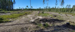 Kommunen kan minska sin klimatpåverkan – nästan gratis
