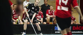 Tvillingbröder öppnar för Onyx